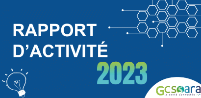 Rapport d'activité GCS Sara 2023
