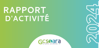 Publication du rapport d'activité 2024 du GCS Sara