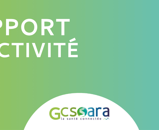 Publication du rapport d'activité 2024 du GCS Sara